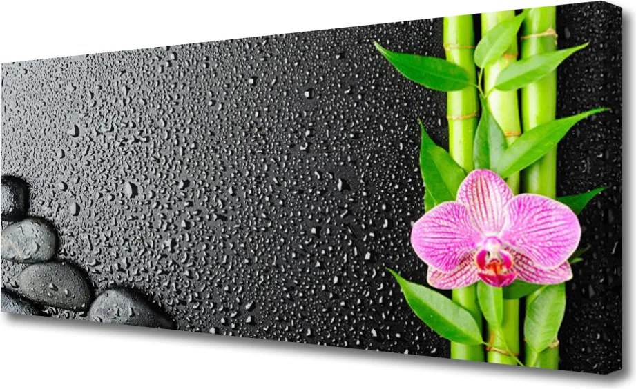 Obraz canvas Egzotyczny Pęd Bambusa