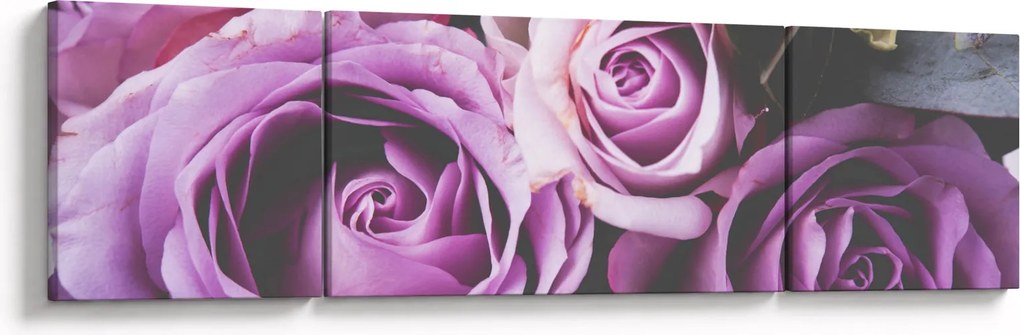 Obraz - Różyczki (170x50 cm)