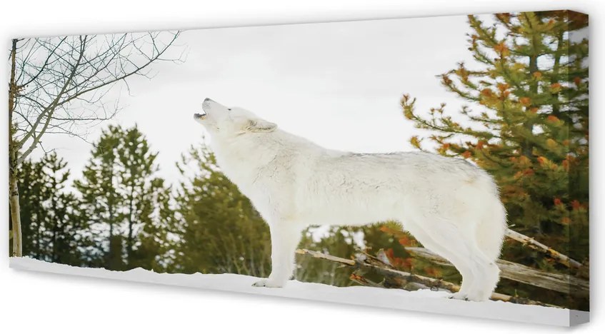 Obraz drukowany na płótnie Wilk w Zimowym Lesie