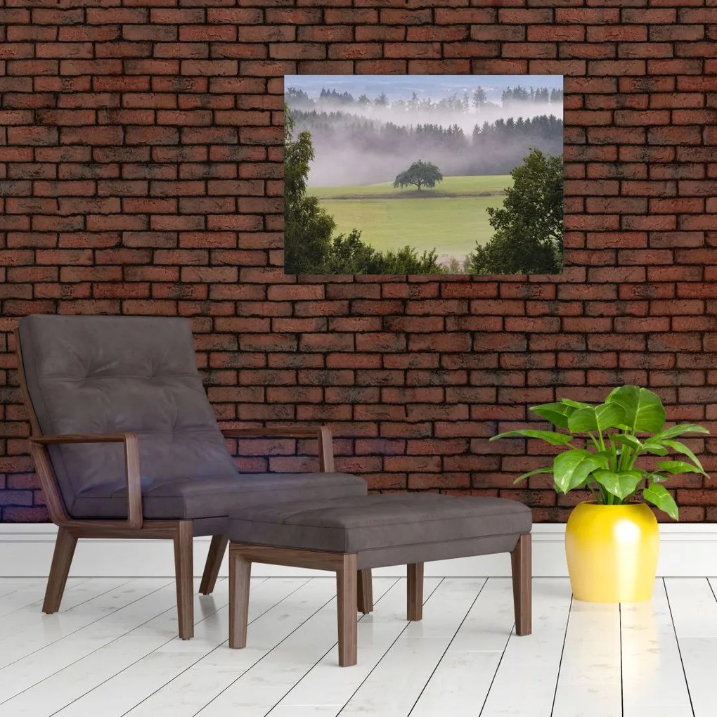Obraz na szkle łąki z drzewem (70x50 cm)