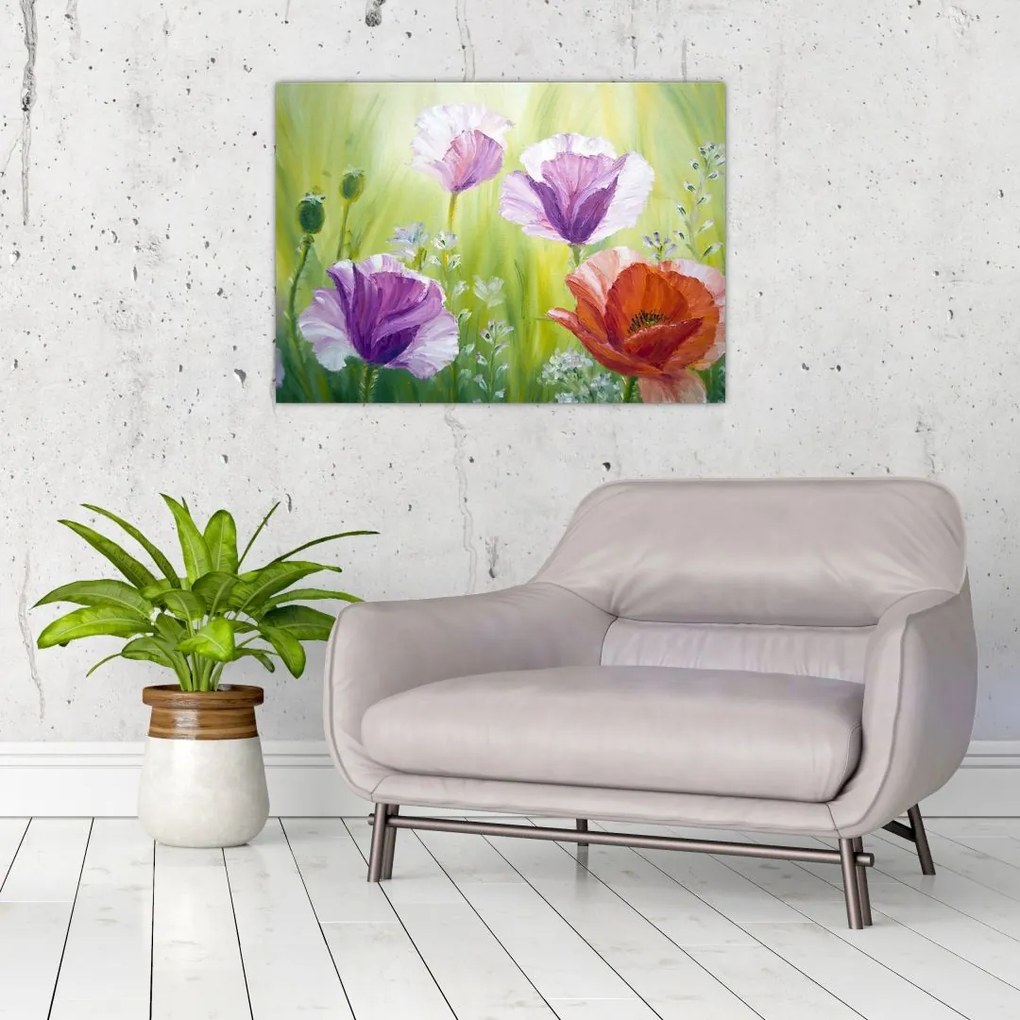 Obraz na szkle - Maki (70x50 cm)