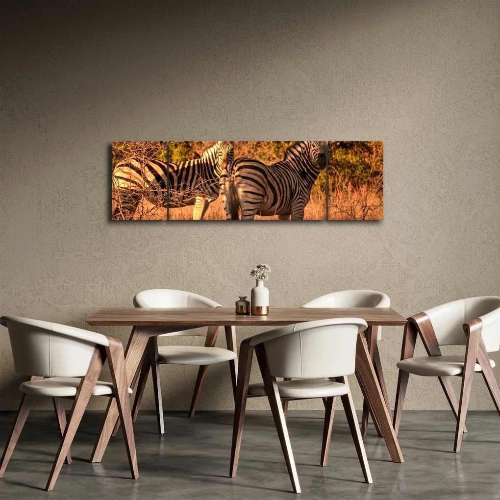 Obraz zebr (170x50 cm)
