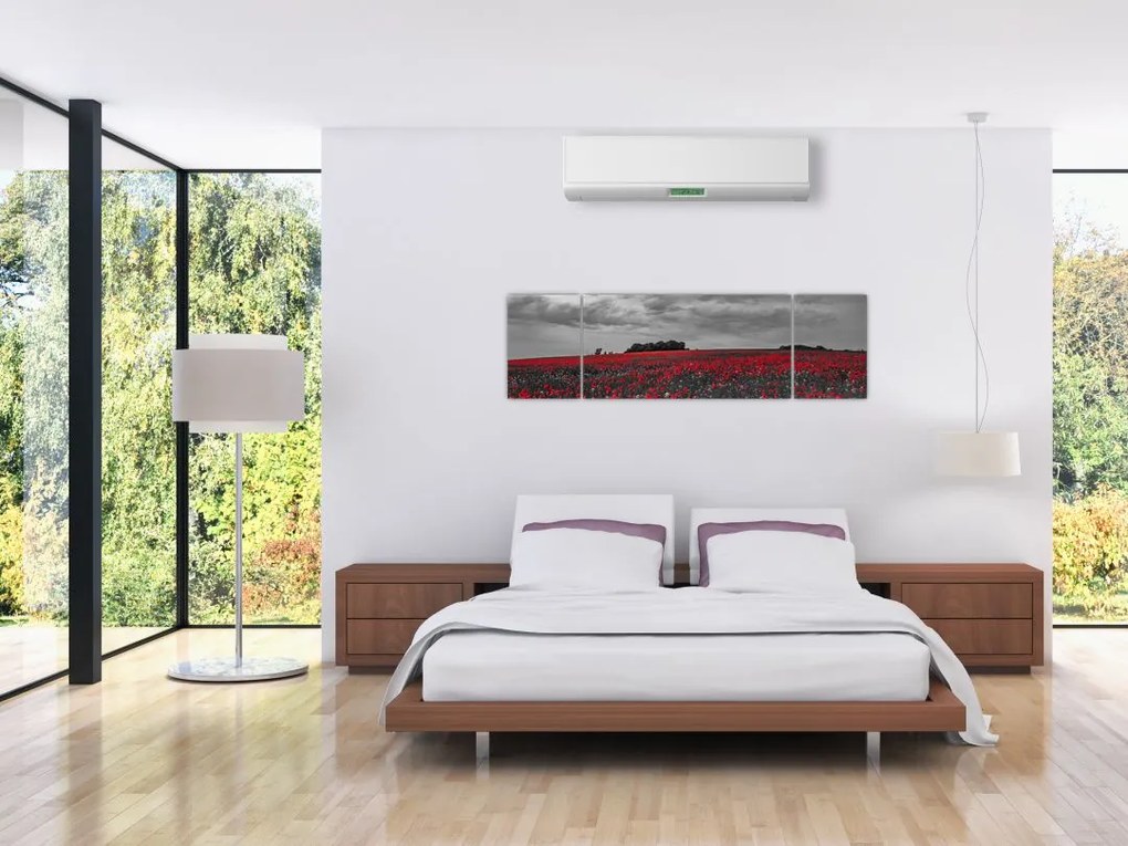 Obraz maków (170x50 cm)