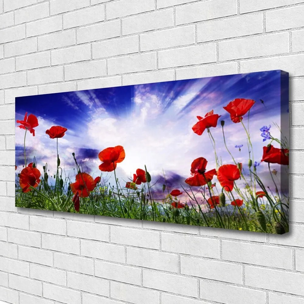 Fotoobraz na płótnie Czerwone Maki w Polu