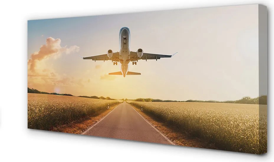 Obraz drukowany na płótnie Samolot nad Miastem o Zmierzchu