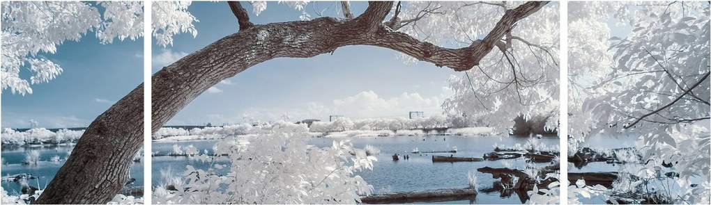 Obraz ośnieżonego drzewa nad wodą (170x50 cm)