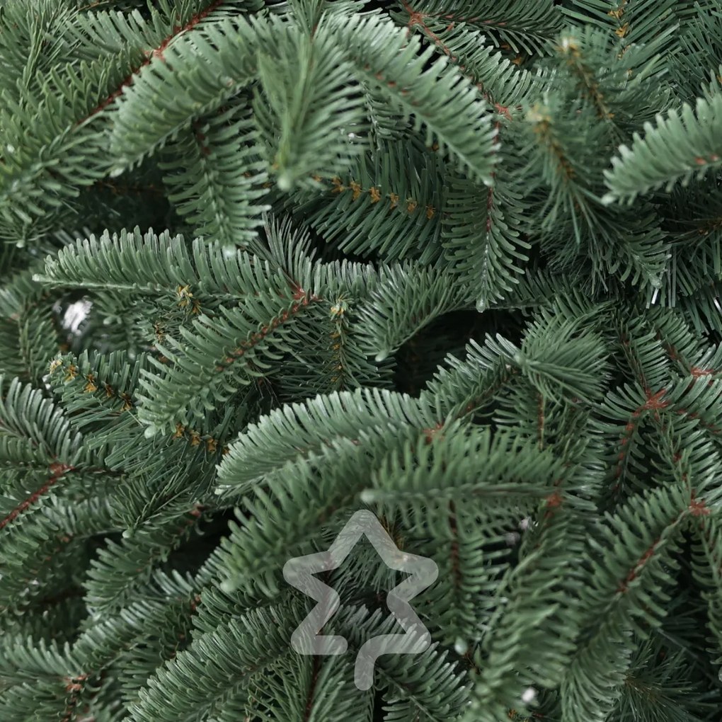 Świerk Oregon ekstra gęsty 240 cm