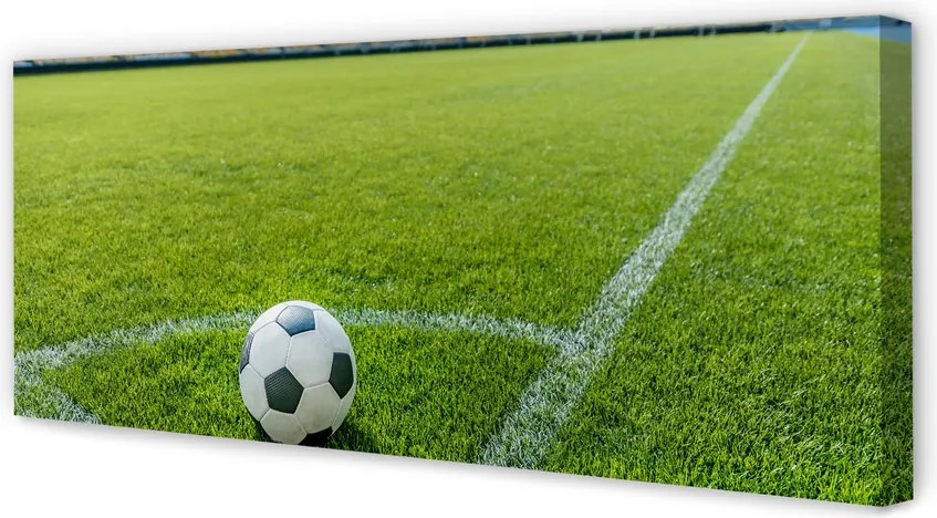 Zdjęcie na płótnie Stadionowa Arena Piłkarska