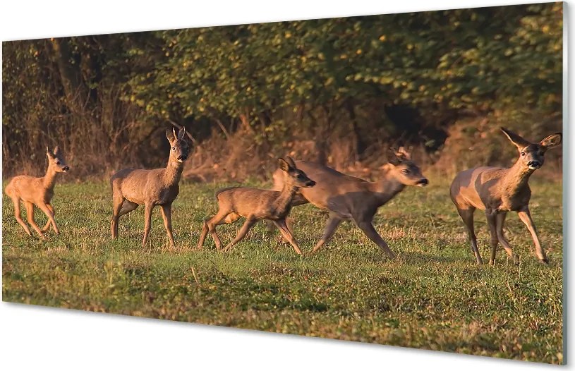 Panel Szklany Jelenie na Polu o Wschodzie Słońca
