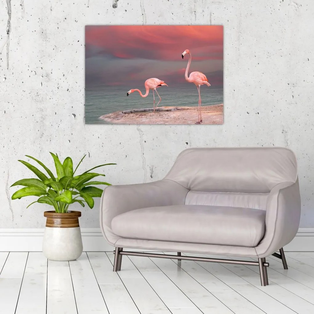 Obraz na szkle flamingów (70x50 cm)