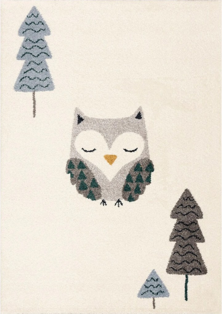 Dywan Sleeping Owl 120x170cm
