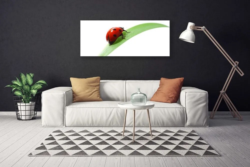 Zdjęcie na płótnie Biedronka na Zielonym Liściu