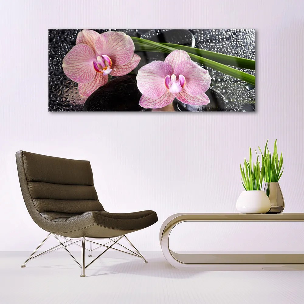 Obraz Szklany Kwiaty Orchidea Storczyk Zen