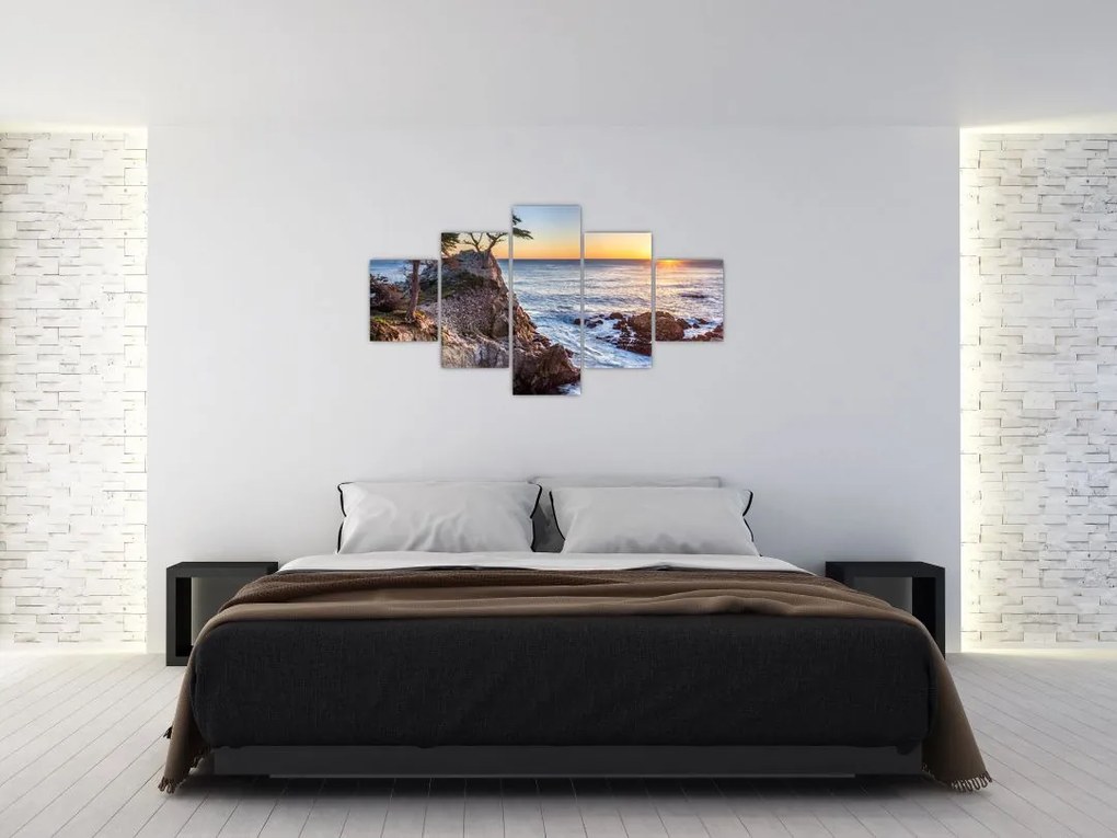 Obraz - Wybrzeże Pacyfiku (125x70 cm)