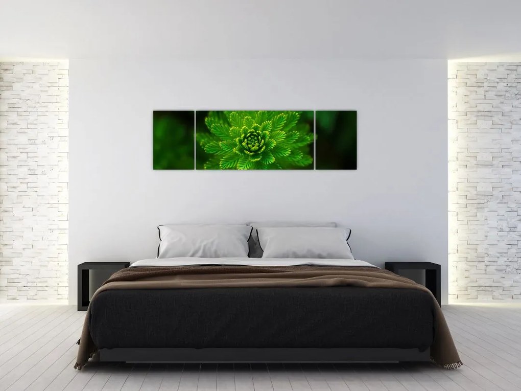 Obraz drzewa iglastego (170x50 cm)