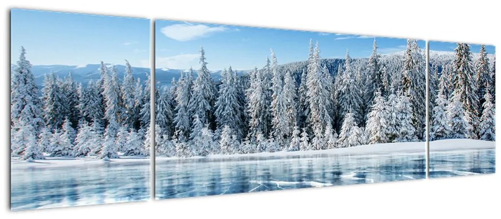 Obraz zamarzniętego jeziora i pokrytych śniegiem drzew (170x50 cm)
