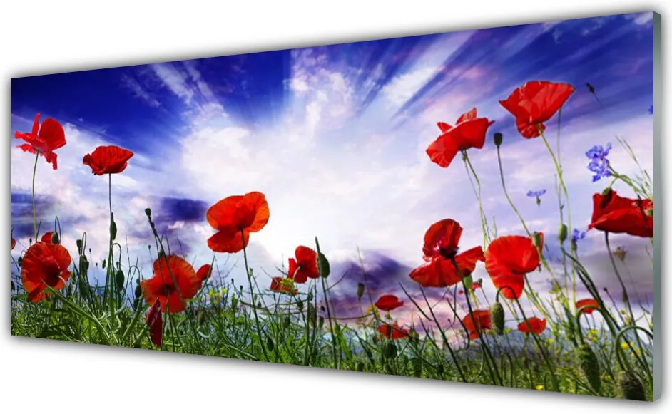 Szkło Ozdobne do Kuchni Czerwone Maki w Polu