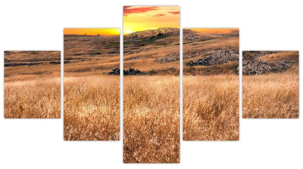 Obraz pola (125x70 cm)