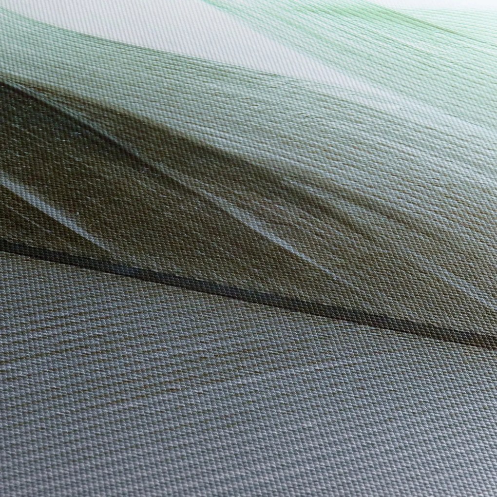 Obraz - Pióra, makro (z zegarem) (90x30 cm)