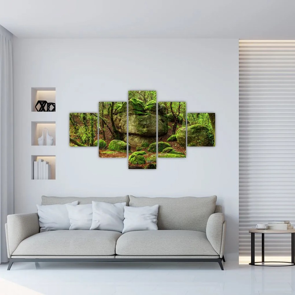 Obraz magicznego lasu (125x70 cm)