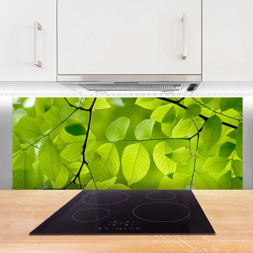 Panel Kuchenny Botaniczny Detal Liści