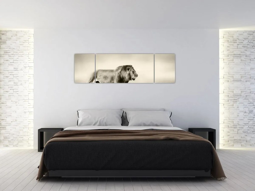 Obraz - Głodny lew (170x50 cm)