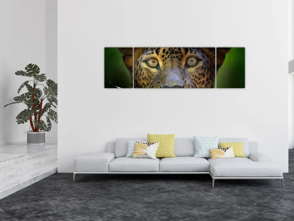 Obraz - Portret lamparta, Sri Lanka (170x50 cm)