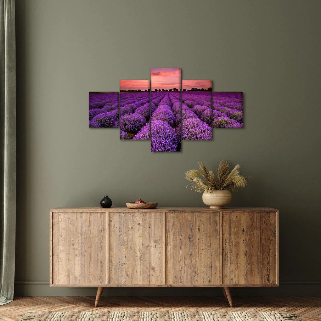Obraz - Pole lawendy (125x70 cm)