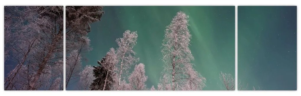 Obraz zorzy polarnej nad zamarzniętymi drzewami (170x50 cm)