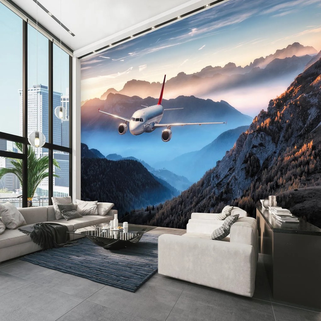 Fototapeta - Samolot w panoramie (196x136 cm)