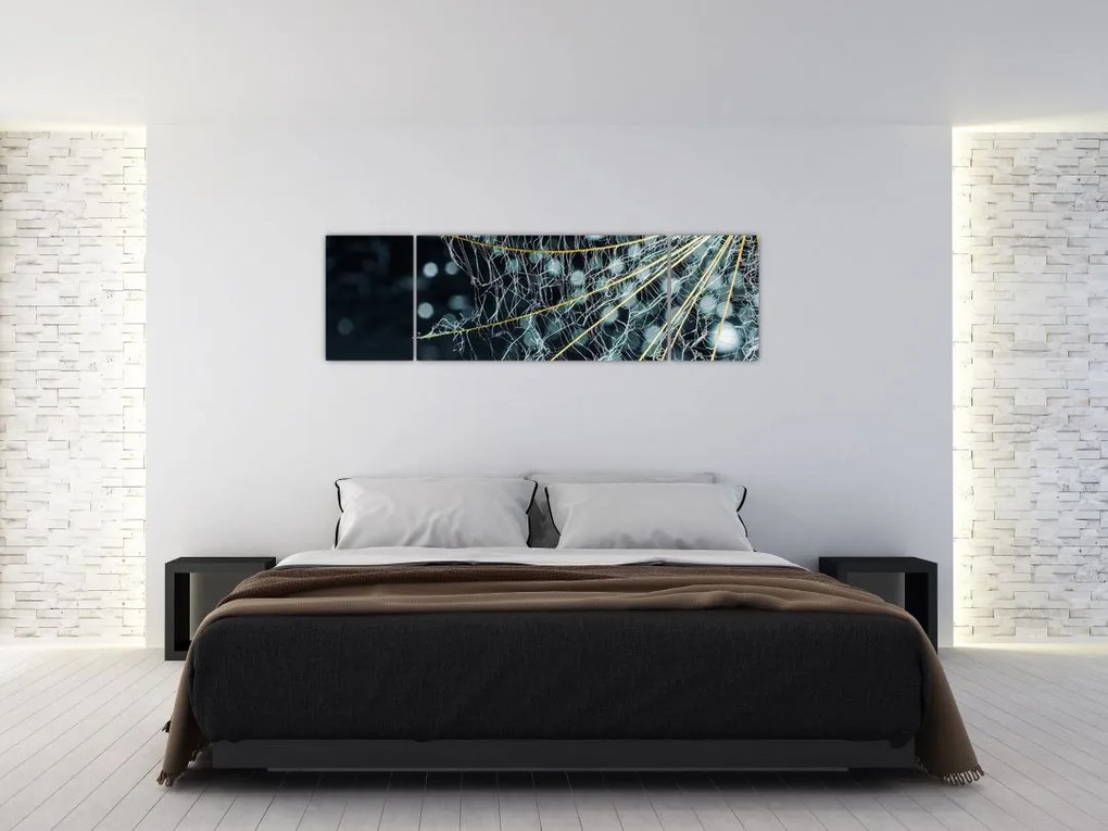 Obraz - Kwiat z pajęczyną (170x50 cm)