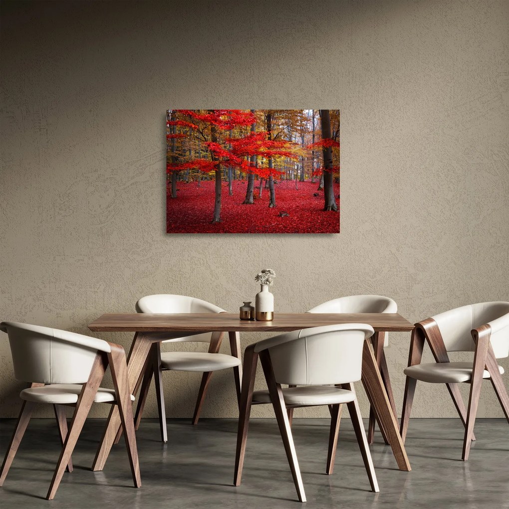 Obraz na szkle - Czerwony Las (70x50 cm)