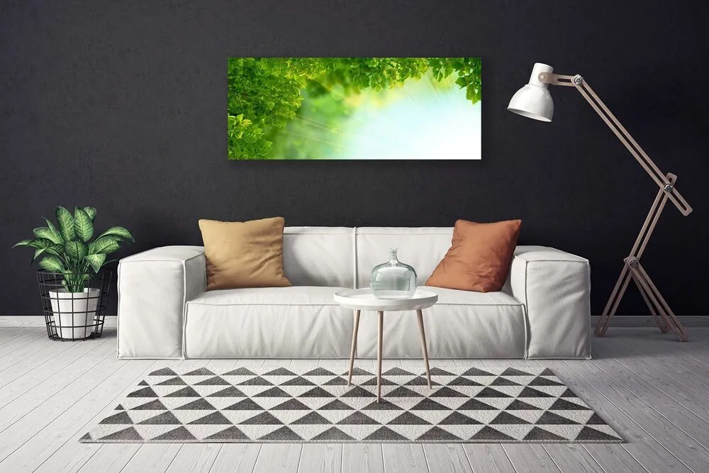 Obraz Canvas Liście Przyroda Roślina