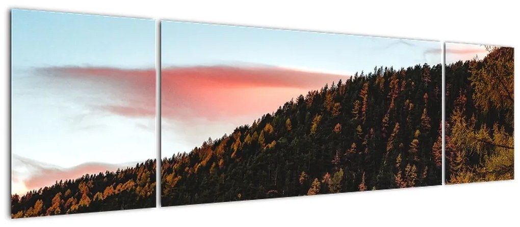 Obraz rudzików nad wzgórzem (170x50 cm)