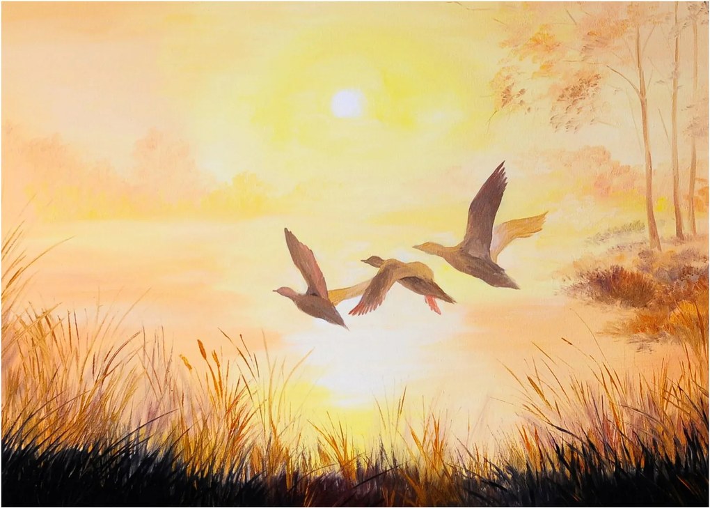 Obraz - Żurawie o zachodzie słońca (70x50 cm)