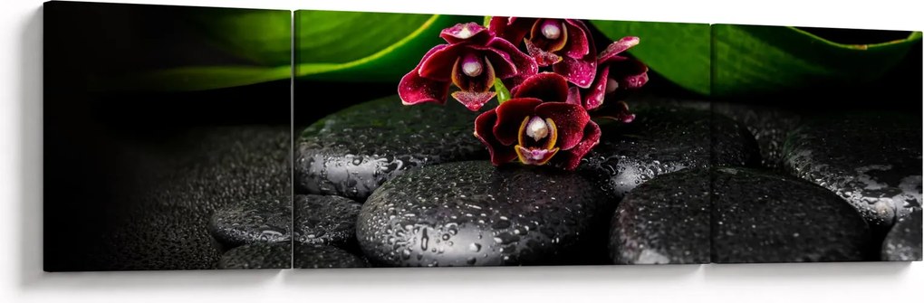 Obraz - Kamienie lawy (170x50 cm)