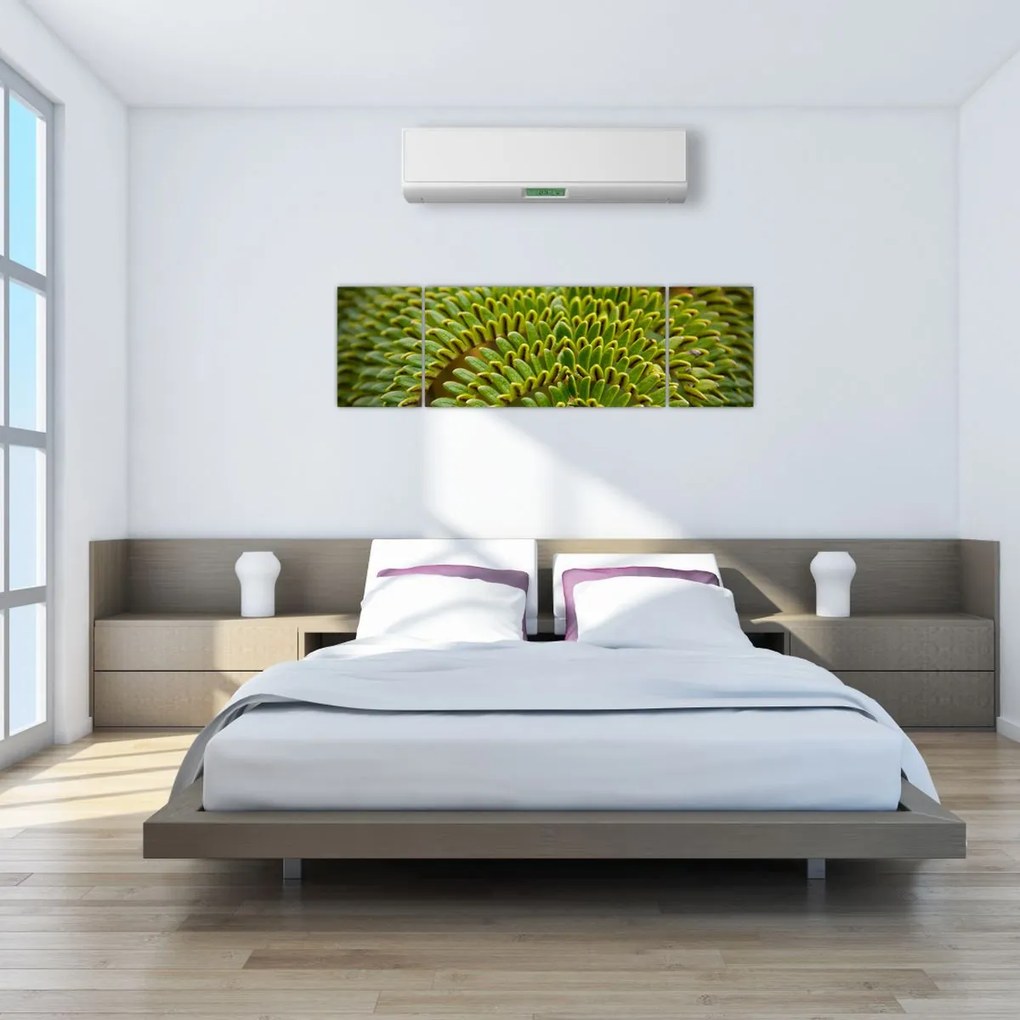 Obraz - Paproć (170x50 cm)