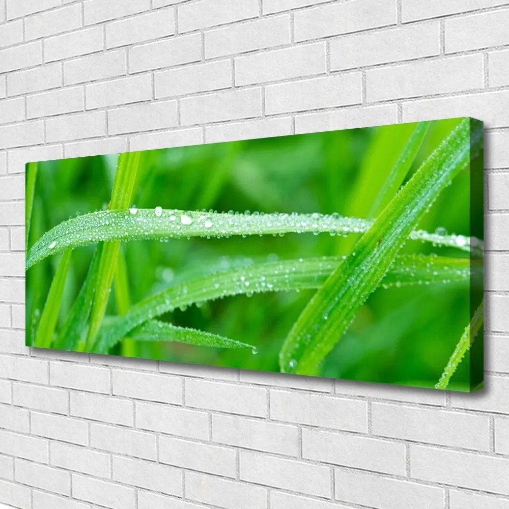 Obraz canvas na ścianę Krople Porannej Rosy na Liściu