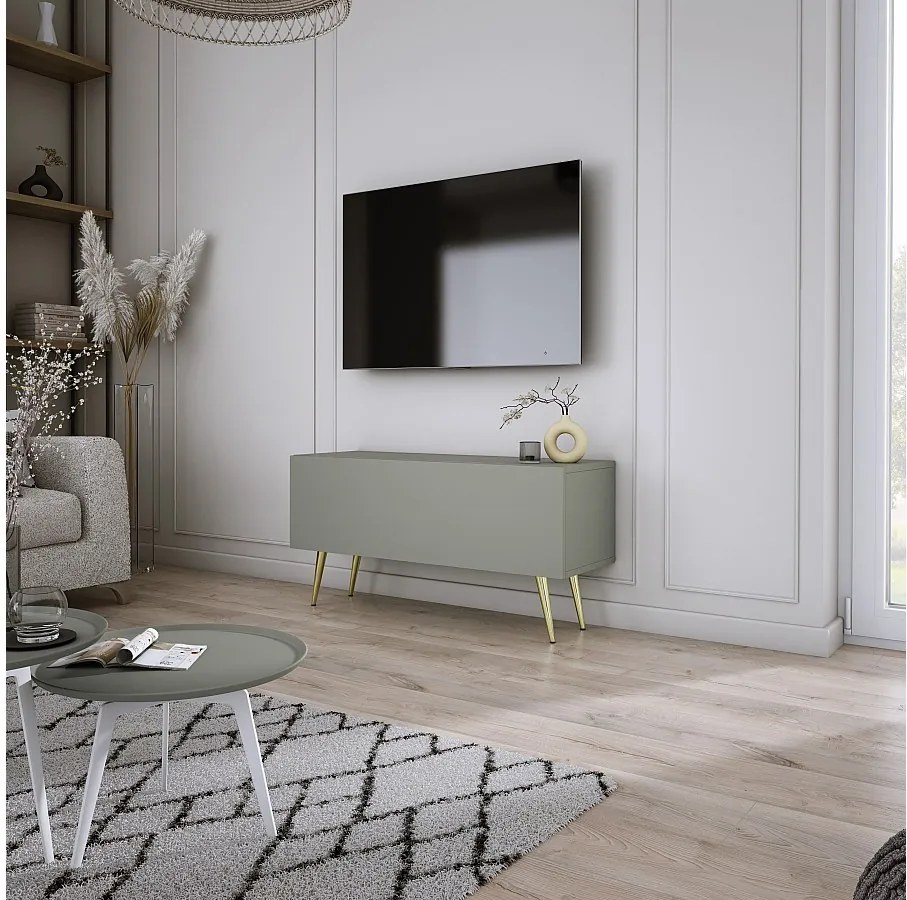 Szafka RTV: Aloe, 100 x 52 x 32 cm, złote nogi