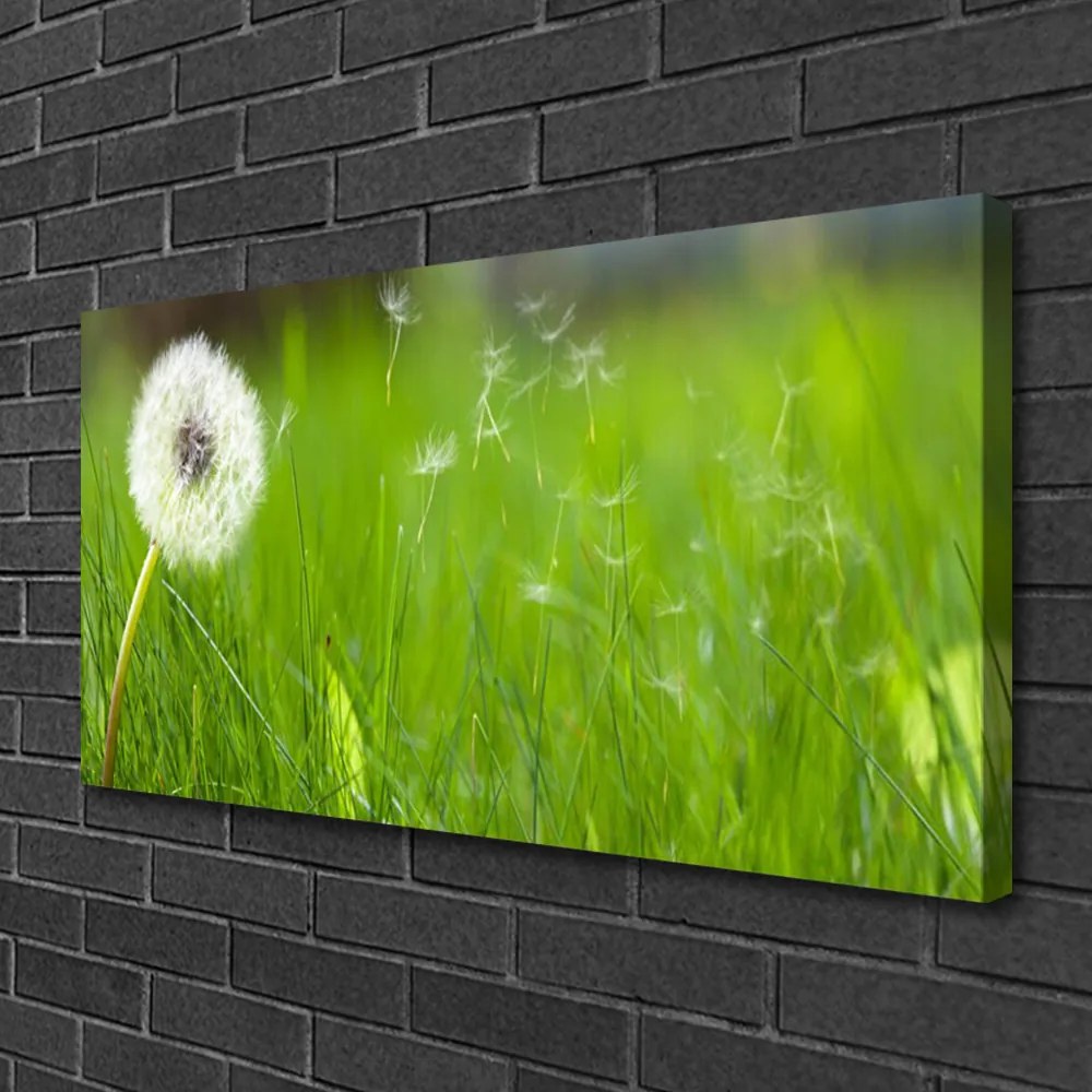 Obraz na płótnie Lekkość Lata: Dmuchawiec