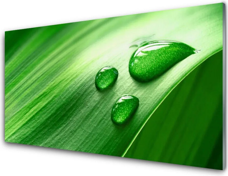 Panel Szklany do Kuchni Perlista Rosa Na Liściu