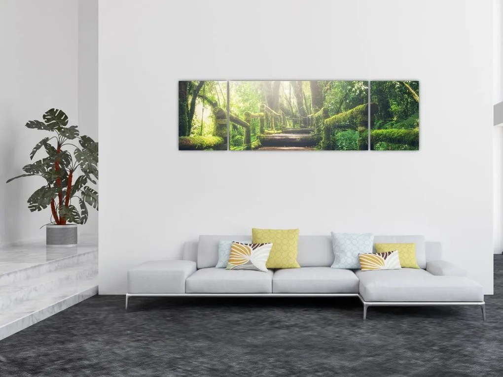 Obraz - drewniane schody w lesie (170x50 cm)