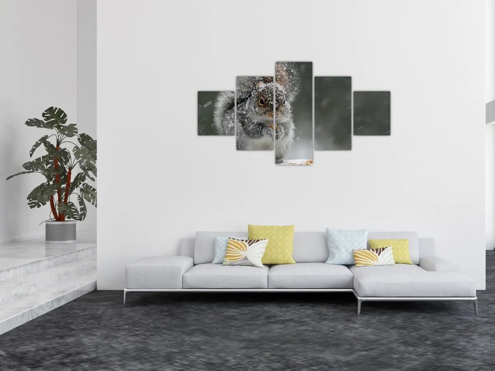Obraz - Wiewiórka zimą (125x70 cm)