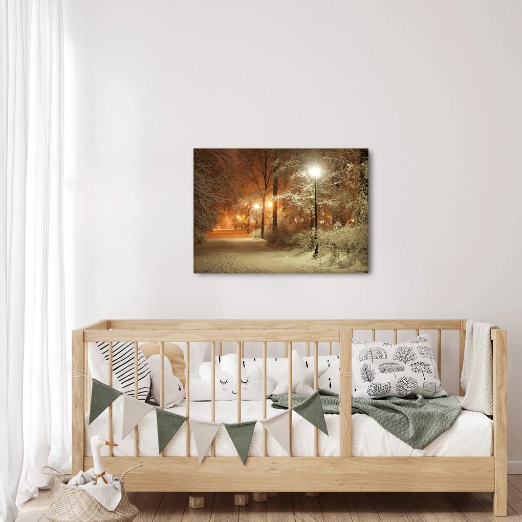 Obraz - Zaśnieżony park (70x50 cm)