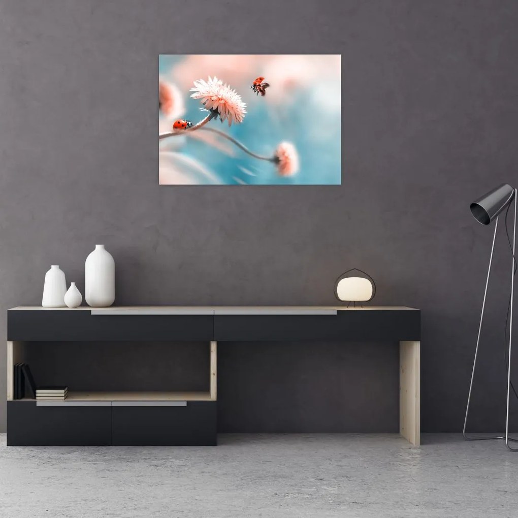 Obraz - Biedronka na kwiatku (70x50 cm)