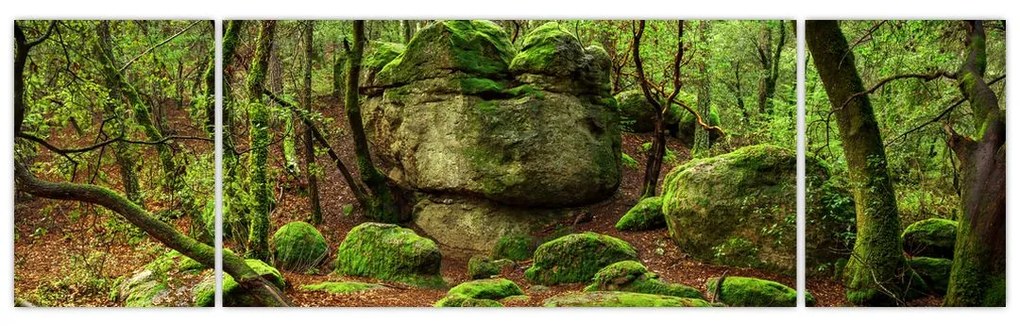 Obraz magicznego lasu (170x50 cm)