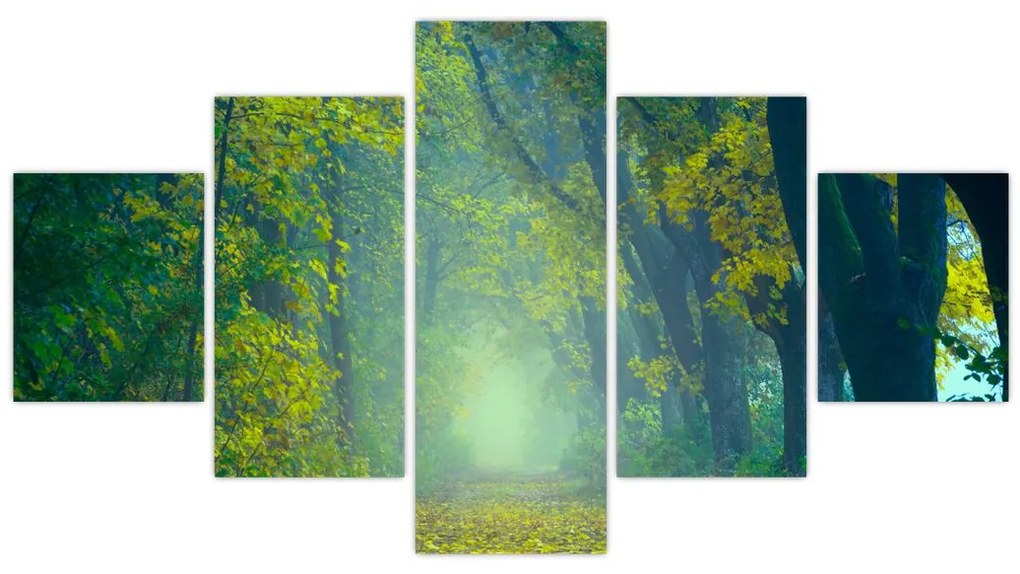 Obraz drogi wysadzanej drzewami (125x70 cm)