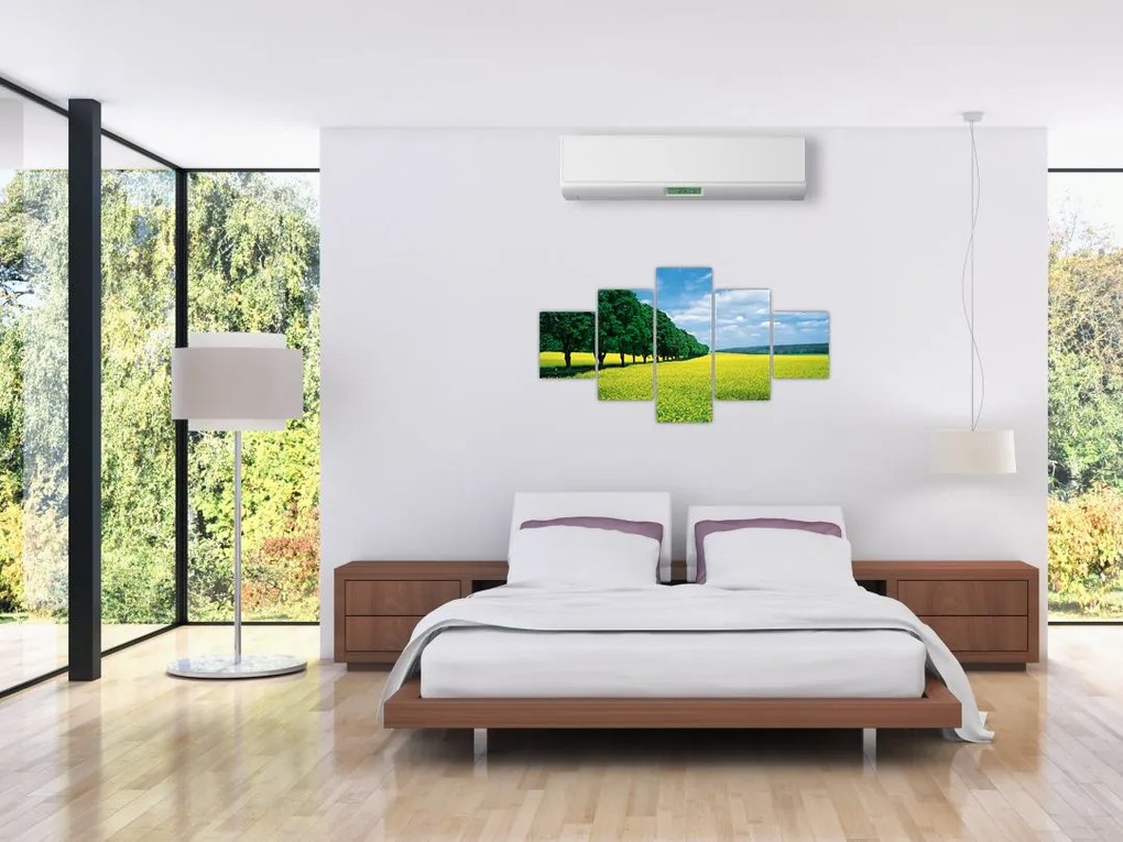 Obraz pola z aleją (125x70 cm)