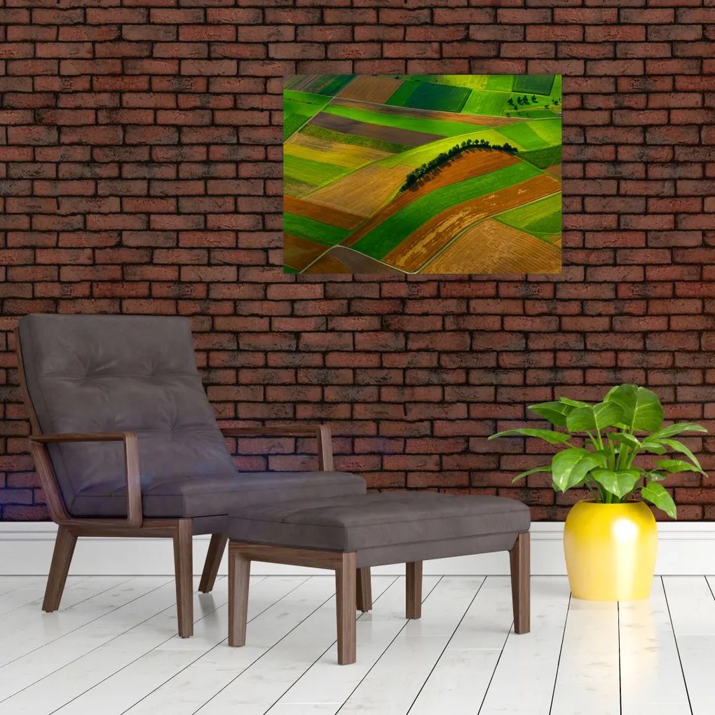 Obraz - Pola, łąki (70x50 cm)