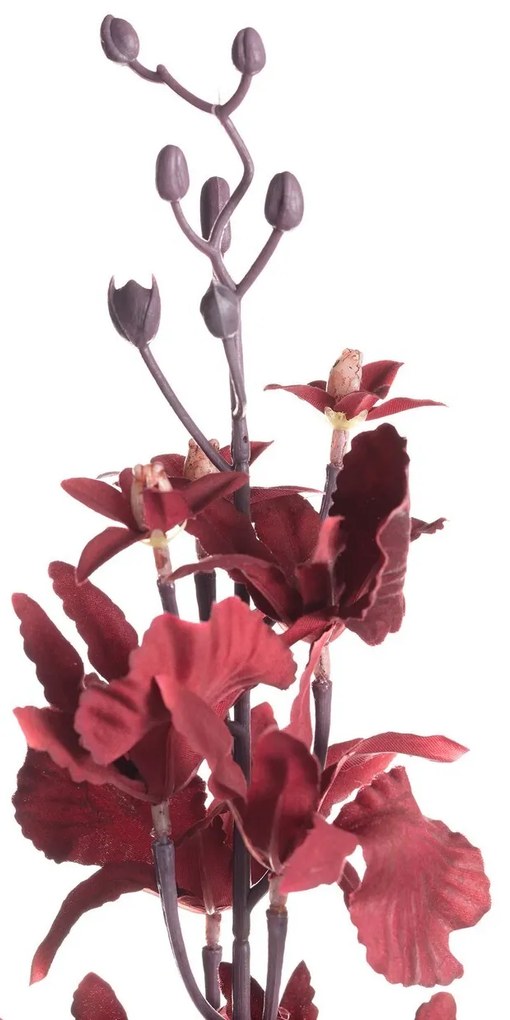 Orchidea 100cm maroon